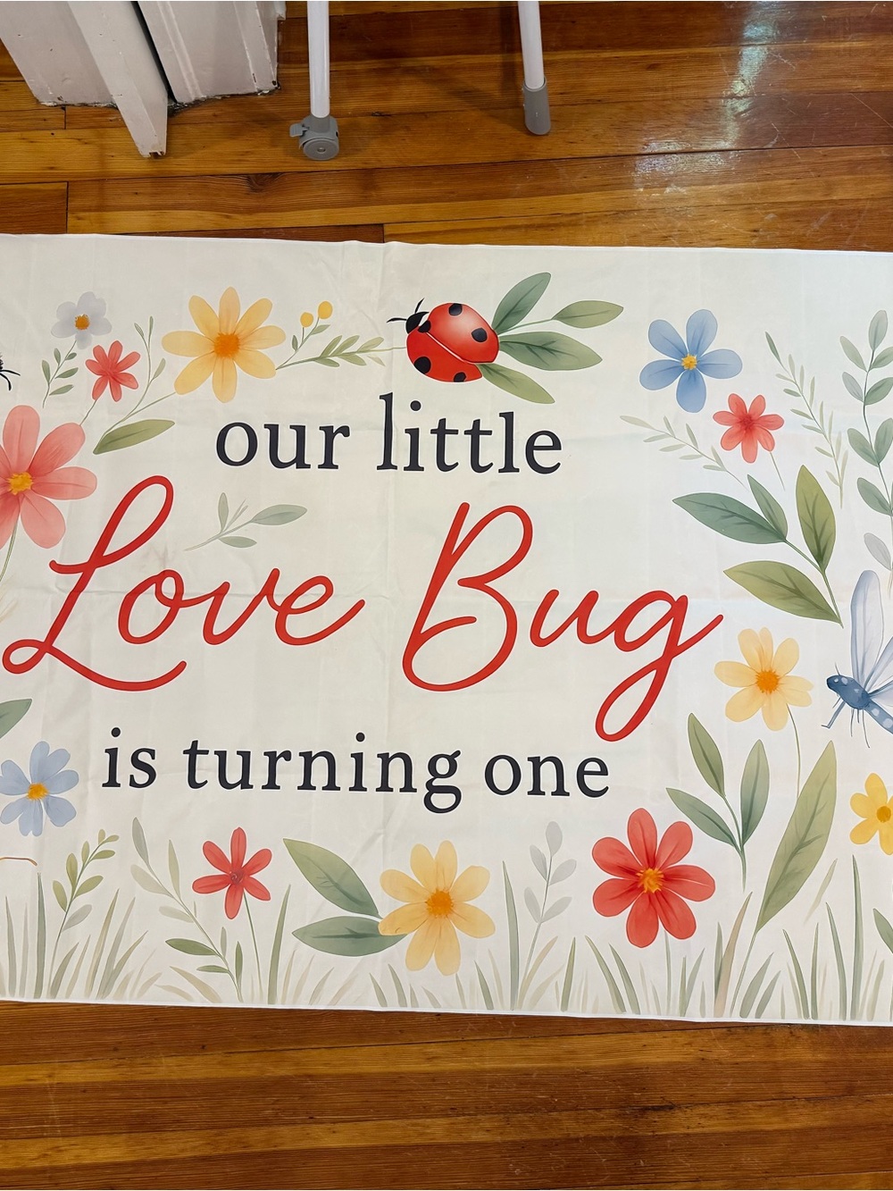 Our Little Love Bug First Birthday party decor